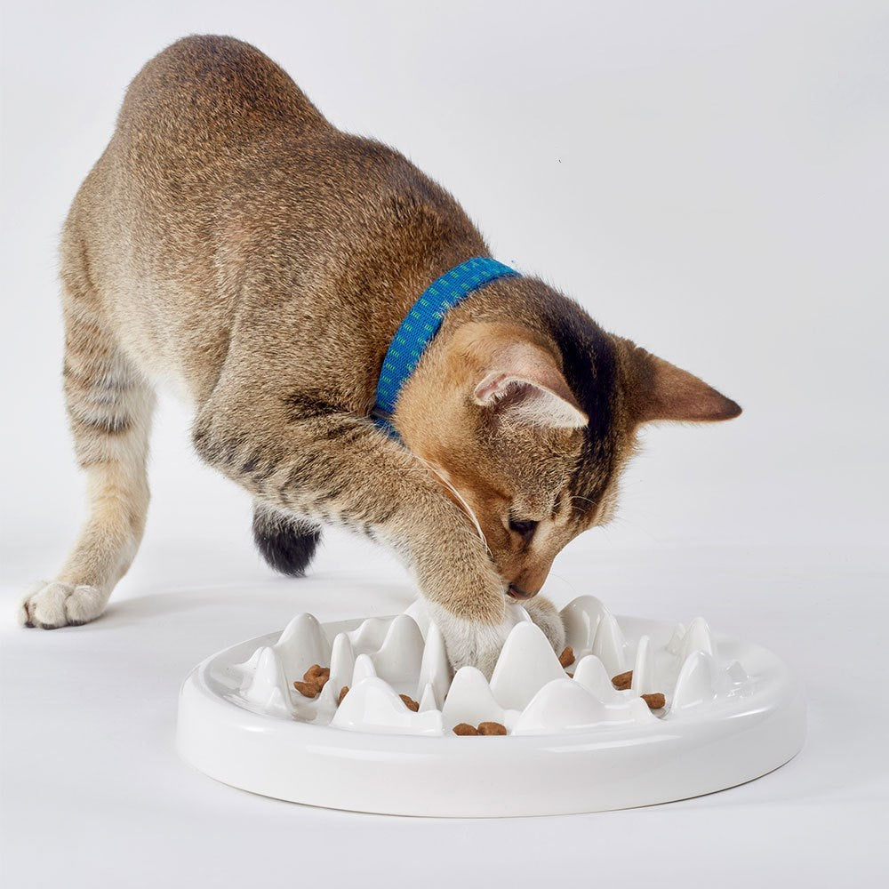 Slow Food Bowl Ceramic Cat Bowl